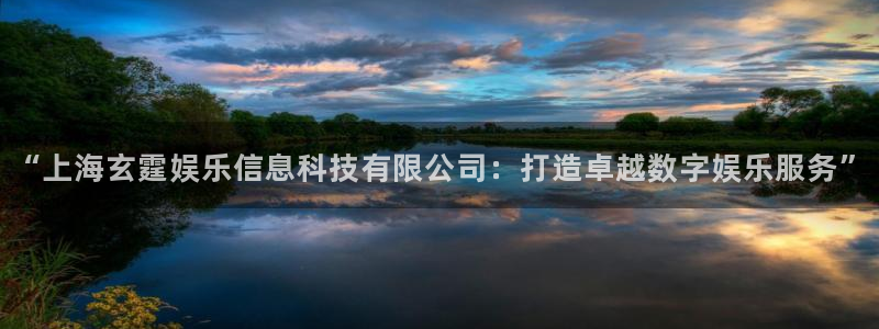 诚达永盈：“上海玄霆娱乐信息科技有限公司：打造卓越数字娱乐服务”